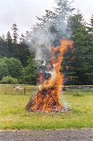 Burn Pile